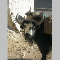 2009-05-22-271.JPG